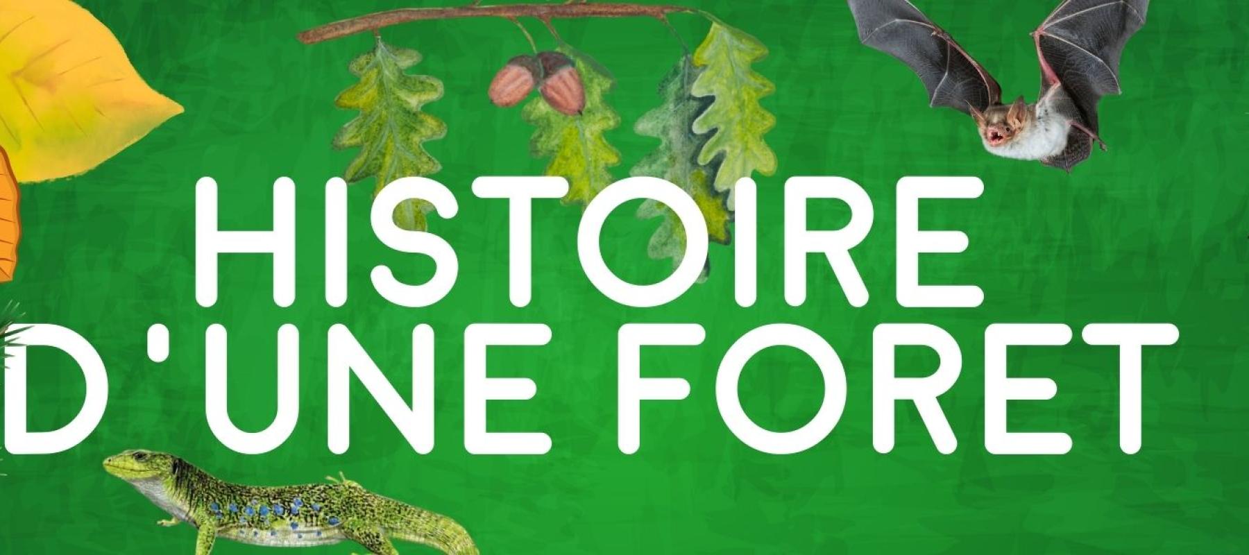 bandeau histoire d'une forêt