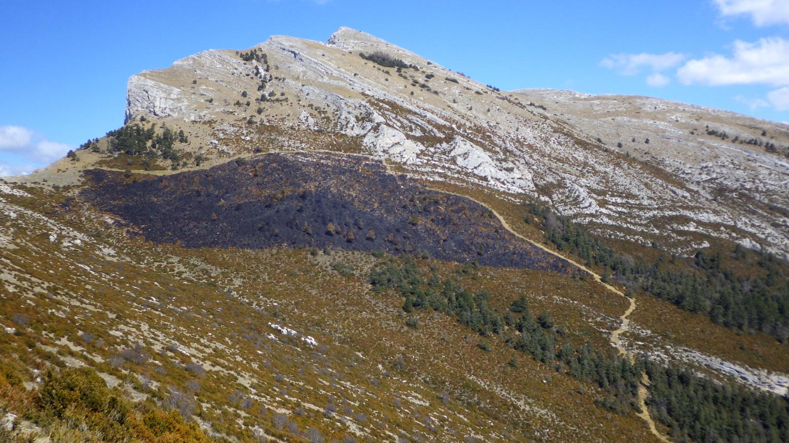 Brûlage sur la montagne de coupe