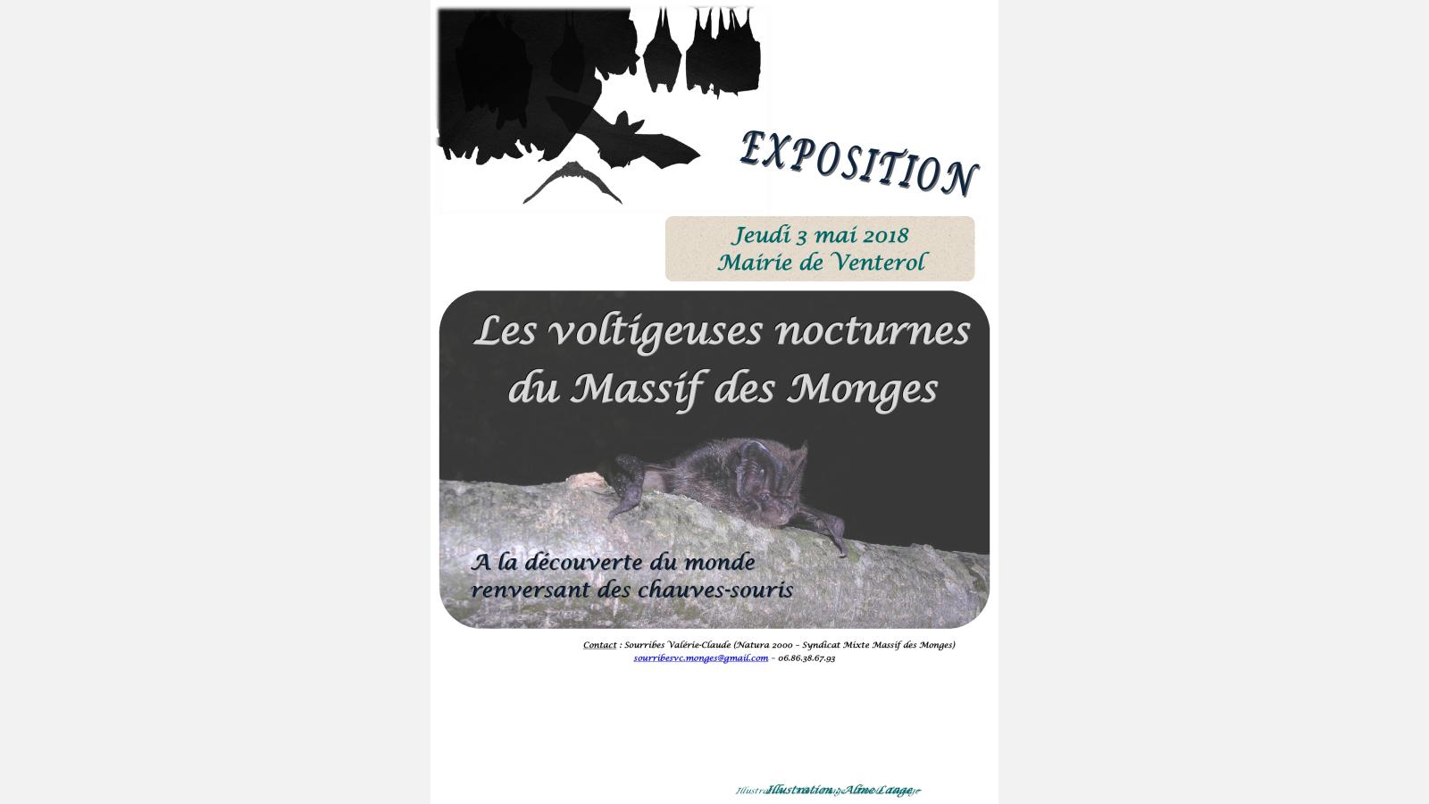 affiche exposition les voltigeuses nocturnes du massif des monges