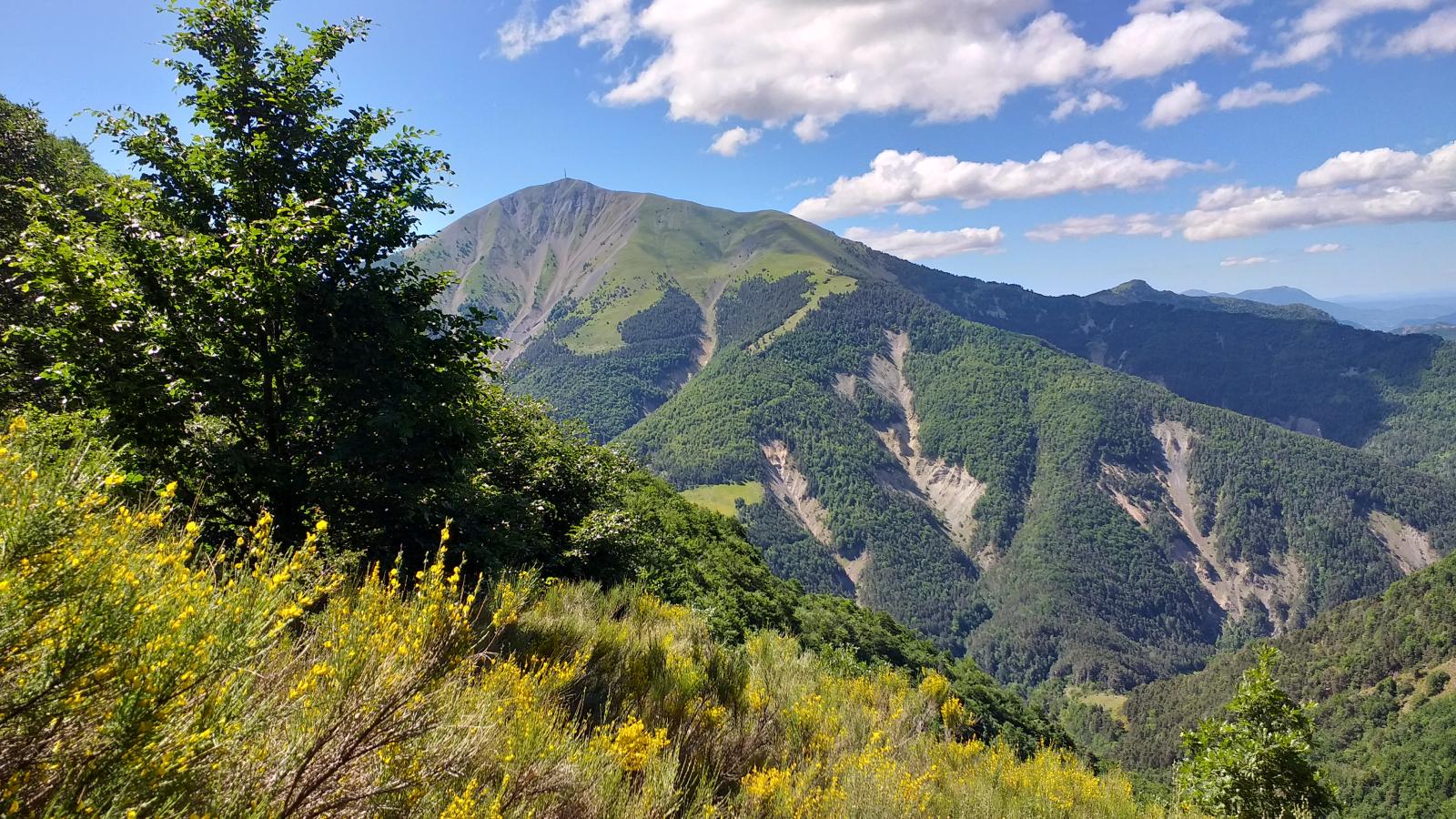Blayeul vue du sentier de charrui