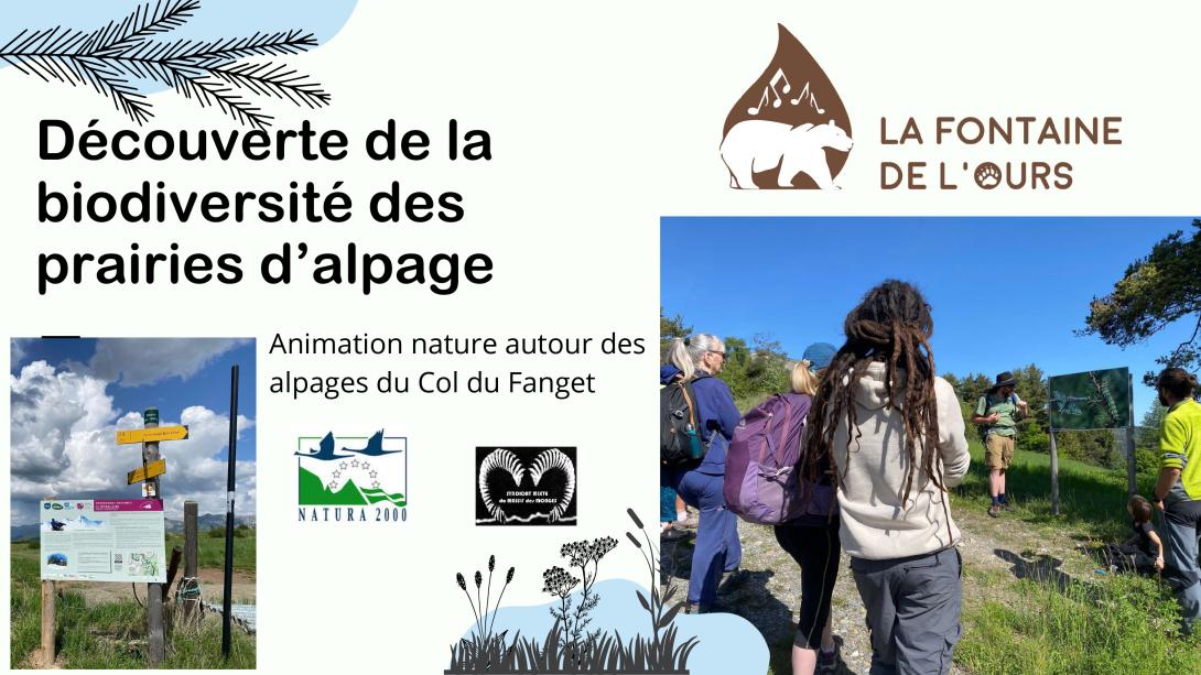 présentation animation nature découverte de la biodiversité des alpages