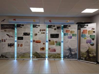 photo exposition chauves-souris