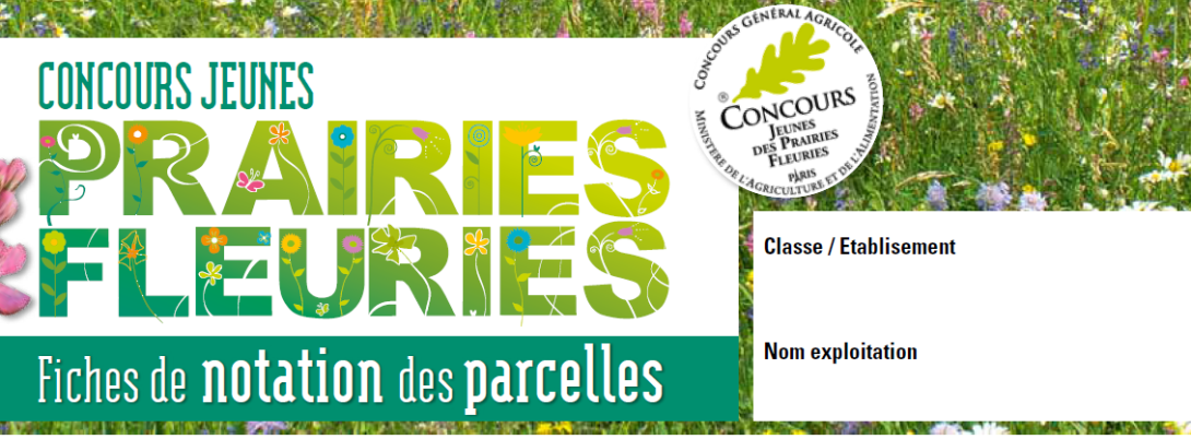 prairies fleuries