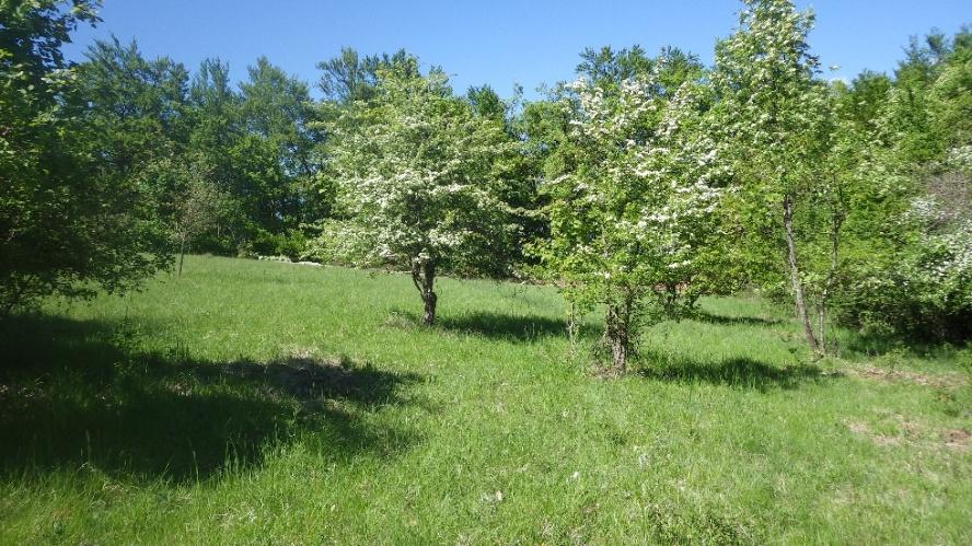 avant travaux
