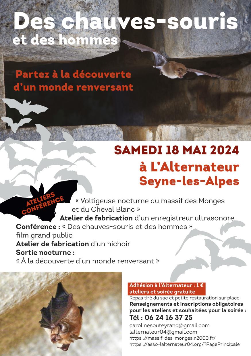 flyer des chauves-souris et des hommes 2024